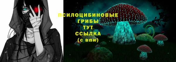 стафф Алексин