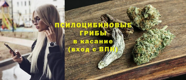 стафф Алексин