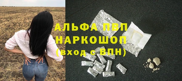 стафф Алексин