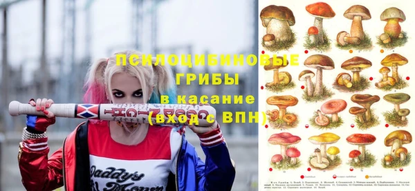 стафф Алексин