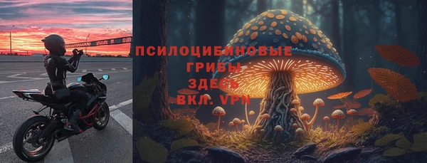 гидропоника Алексеевка